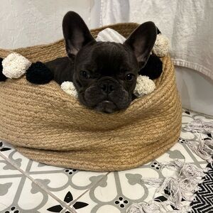 Meet your Posher, Angelina